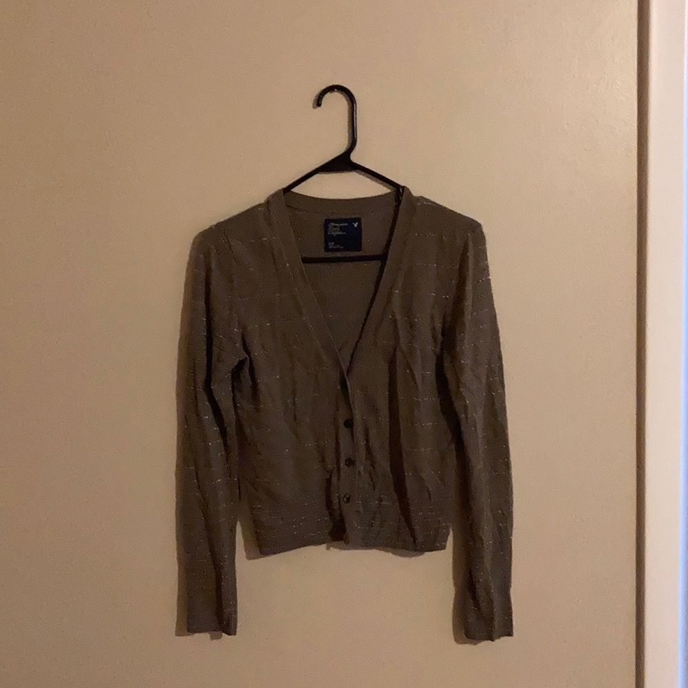 American eagle sweater button up cropped